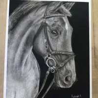 طراحی سه بعدی چهره در هرسایز باقیمت و کیفیت عالی