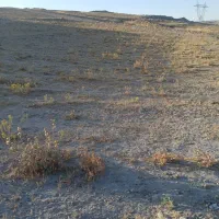 روستای ایرانق|فروش زمین و ملک کلنگی|بستان آباد, |دیوار