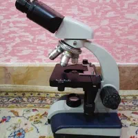میکروسکوپ چینی