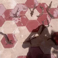 ریشه و تنه درخت آبنوس|ماهی|شیراز, شهرک سراج|دیوار