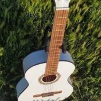 گیتار کلاسیک|گیتار، بیس، امپلیفایر|تالش, هشتپر|دیوار