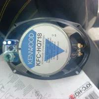 اصل ویتنام 718 اصل قیمت ۱۳