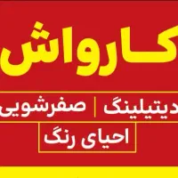 کارگر کارواش و دیتیلینگ