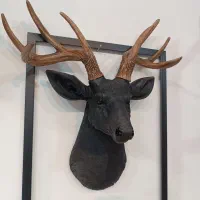 سردیس و دیوارکوب گالری رضا مرشد|مجسمه، تندیس، ماکت|گلبهار, شهر جدید گلبهار|دیوار