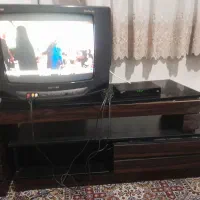 تلویزون ودیجتال