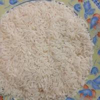 برنج هاشمی ۲۷۵و لاشه ۱۷۵و فجر سوزنی ۱۷۶ت|خوردنی و آشامیدنی|بابکان, |دیوار