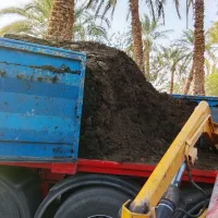 پخش کود حیوانی گاوی خالص|خدمات باغبانی و درختکاری|بم, |دیوار