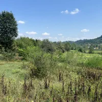 زمین جنگلی در گیلان بدون واسطه|فروش زمین و ملک کلنگی|لاهیجان, آهندان|دیوار