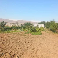 اجاره-زمین-کشاورزی-اراضی-سارمساقلو