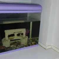 اکواریوم ۳۵×۶۵×۴۵