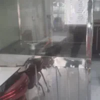 فر ۵ کاره|اجاق گاز و لوازم برقی پختوپز|کرمانشاه, |دیوار