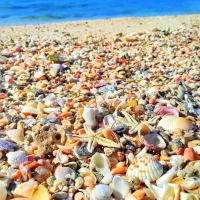 تورقشم ازمیاندواب|تور و چارتر|میاندوآب, |دیوار