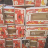 کارتن موزی سالم وتمیز