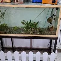 آکواریوم با پایه