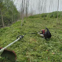 علف و چمن زنی و سمپاشی با دستگاه