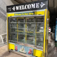 یخچال ایستاده شش درب دوطرف نما درحد نو|فروشگاه و مغازه|نسیم‌شهر, |دیوار