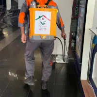 سم پاشی موریانه و سوسک