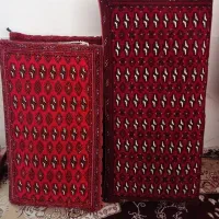 دو جفت پشتی سالم