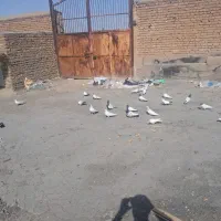 مغازه-چهار-دبواری