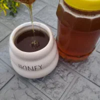 عسل کنار(کندو)|خوردنی و آشامیدنی|دهلران, |دیوار