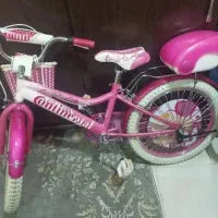 دوچرخه