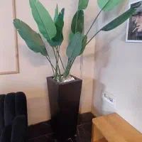 درختچه مصنوعی گیاه نیکولای(پرنده بهشتی)