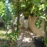 خونه،سوئیت،منزل،اجاره ای پنج کیلومتری شهر قاین|اجارهٔ کوتاهمدت ویلا و باغ|قائن, |دیوار