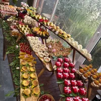 تشریفات /فینگر فود/ دیجی/ بارتندر/اجاره ظروف چوبی