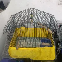 قفس پرنده