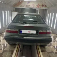 زانتیا سبز زیتونی