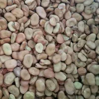 باقالی عمده|عمده‌فروشی|رشت, چله خانه|دیوار