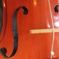 ویلون رناتو|ویولن|پاکدشت, خاتون آباد|دیوار