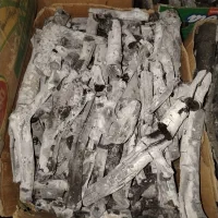 ذغال پسته قلم سفید درجه یک