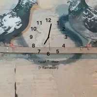 یه جفت سوسکی سیاه خوش نقش ب شرط پرش  و