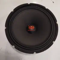 میدرنج 10 اینچ