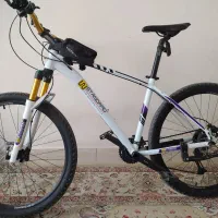 دوچرخه حرفه ای