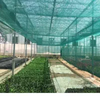 قیمت مناسب یکباراستفاده شده