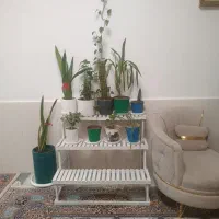 منزل-فروشی-شهرآرای-25