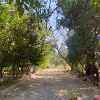 فروش-باغ-3240-متری-در-شهرک-زمردویلا-والفجر