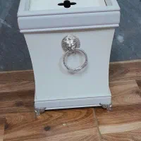 سطل کنار سالنی