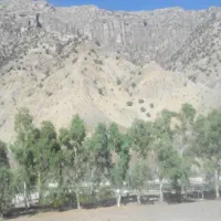 کار در خانه