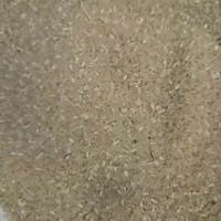 برنج نیم دانه فجر امسالی زیر قیمت|خوردنی و آشامیدنی|پاکدشت, پاکدشت (مامازند)|دیوار