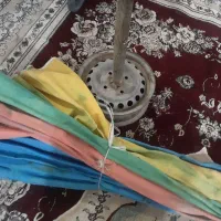 چتر‌ ماهی فروش