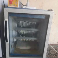 دستگاه جوجه کشی