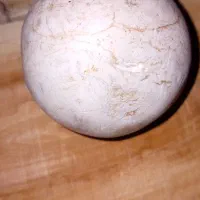 گوهرشبچراغ