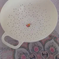 تعدادی سبد پلاستیکی