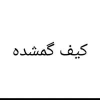 کیف مدارک گم شده