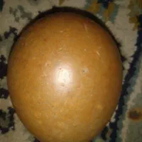 فروش|کلکسیون اشیاء عتیقه|بهشهر, |دیوار