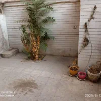 اجاره آپارتمان ۴۵ متری ۲ خوابه همکف در دهم فروردین|اجارهٔ آپارتمان|تهران, دهم فروردین|دیوار