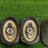 ضبط باند سالم